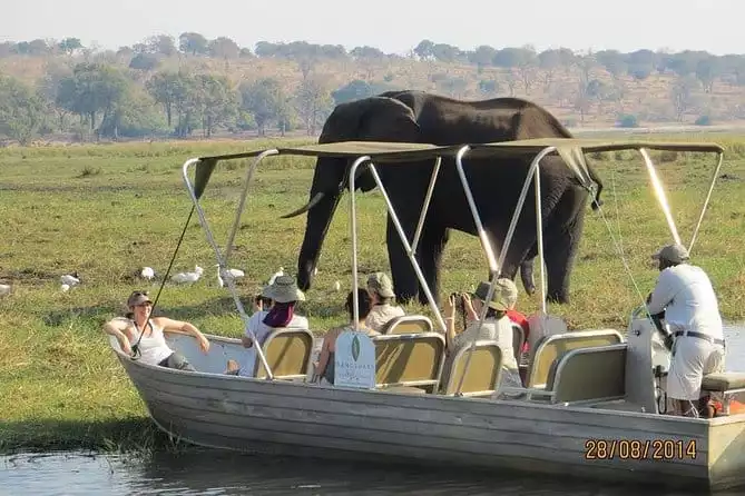 Chobe Day Trip From Victoria Falls