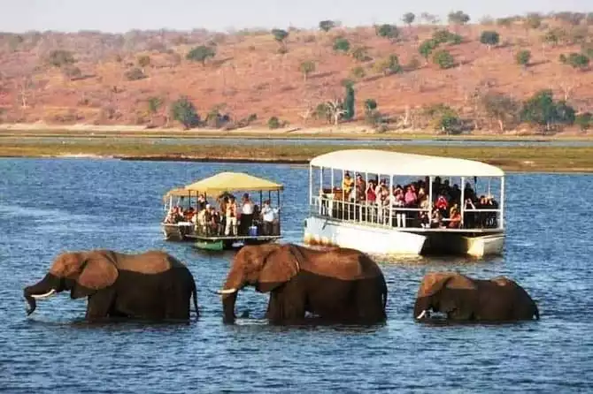 Chobe Extended Day Trip From Livingstone