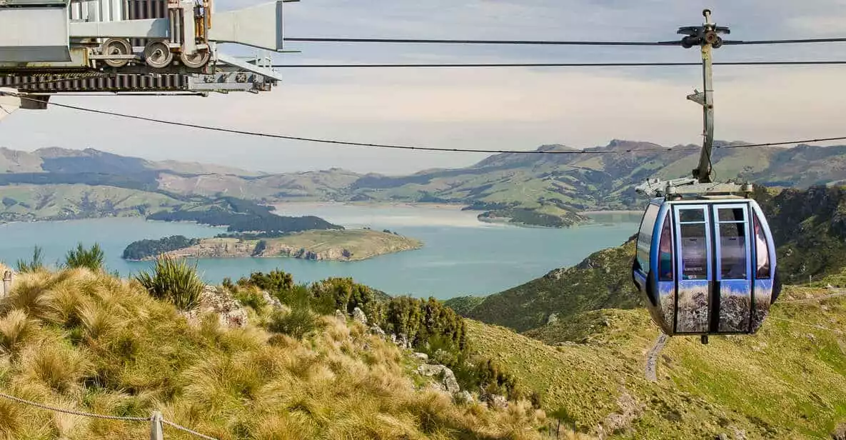 Christchurch Gondola Ride | GetYourGuide