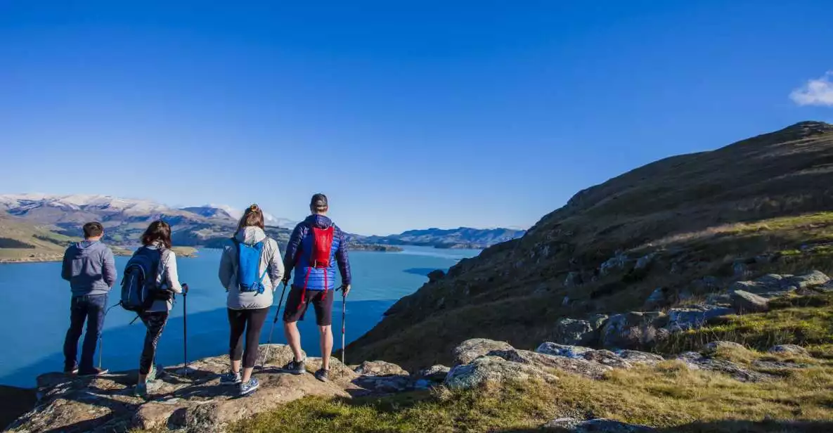 Christchurch: Guided Crater Rim Walk in Banks Peninsula | GetYourGuide