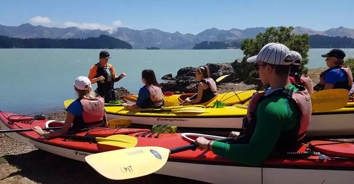 Christchurch: Sea Kayaking Excursion | GetYourGuide