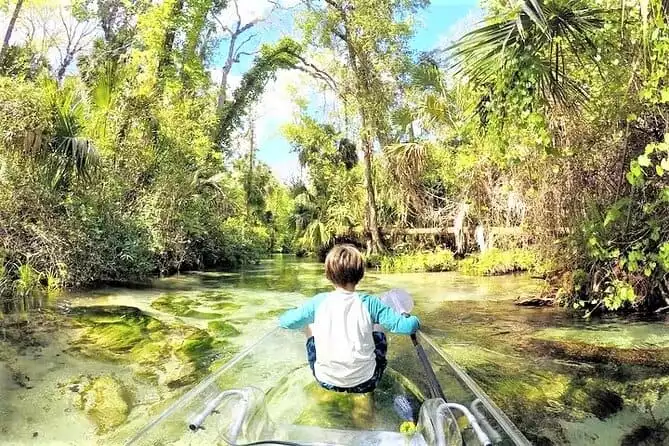 2-Hour Glass Bottom Guided Kayak Eco Tour in Rock Springs (Small-Group) 2022 - Orlando
