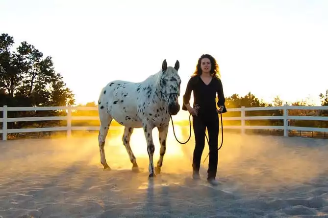 Coaching with Horses - Wisdom for Life & Leadership