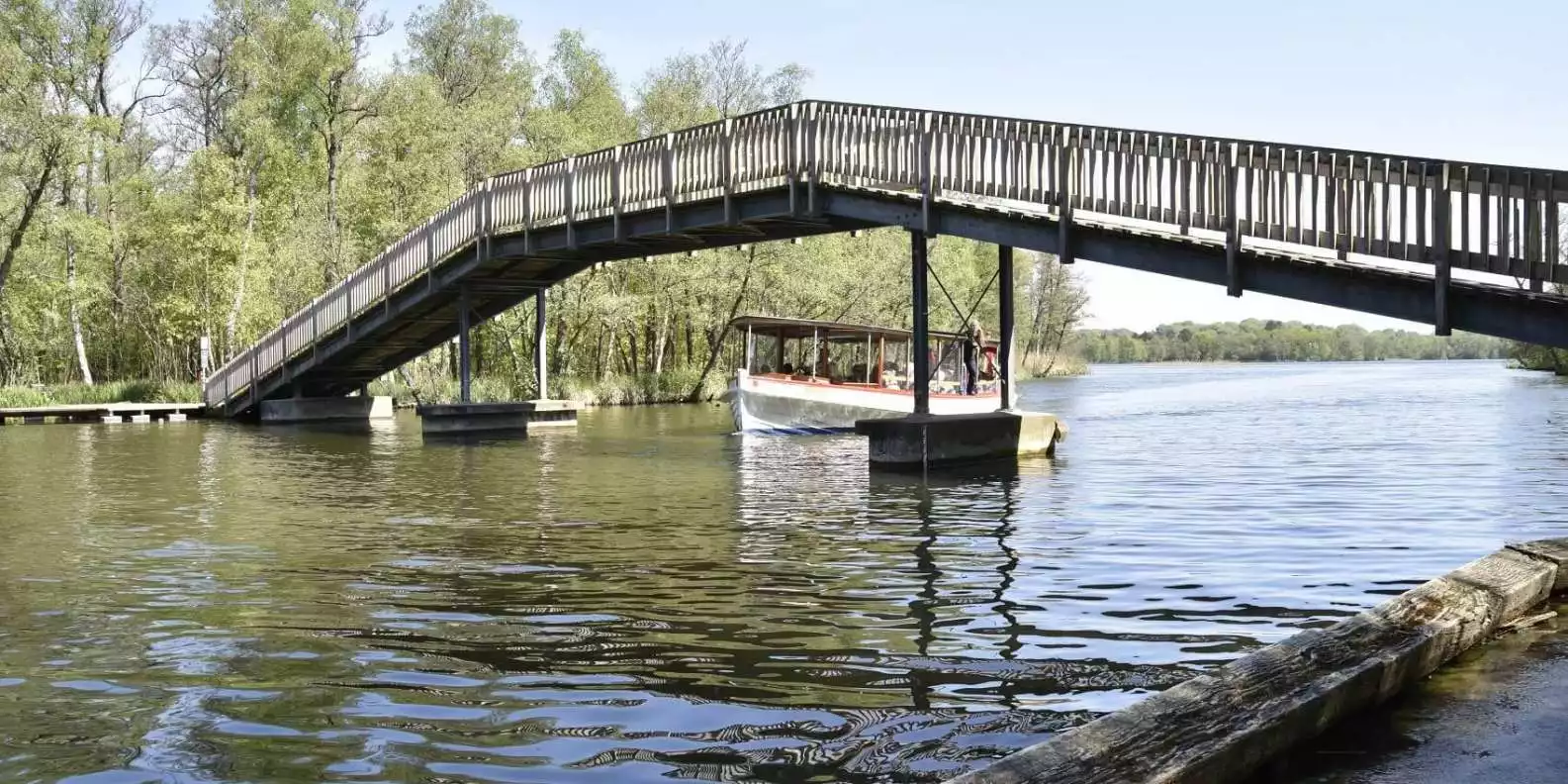 Copenhagen: Boat Trip on Lyngby Lake and Millstream | GetYourGuide