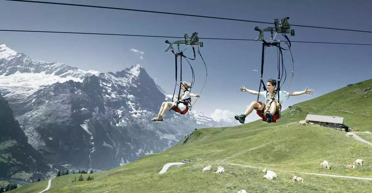 Day Trip from Zurich: Grindelwald First Mountain Adventure | GetYourGuide