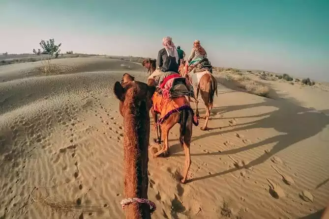 Desert Safari With BBQ Dinner, Quad Bike And Camel Ride Experience from Dubai