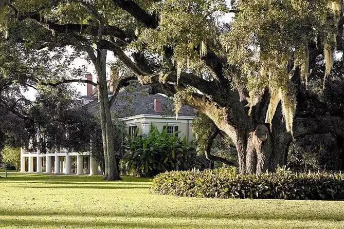 Destrehan Plantation and Swamp Tour Combo from New Orleans