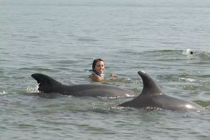 Swimming with Free Wild Dolphins in Puerto Vallarta
