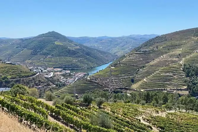 Douro Valley 3 Different Wineries with Fabulous Lunch and Optional Boat Cruise