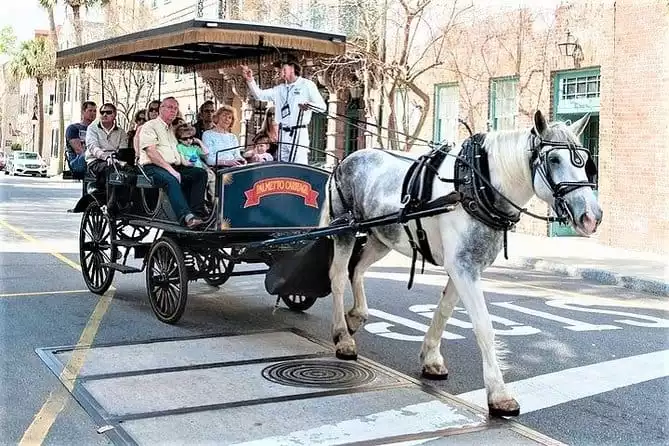 Evening Horse-Drawn Carriage Tour of Downtown Charleston