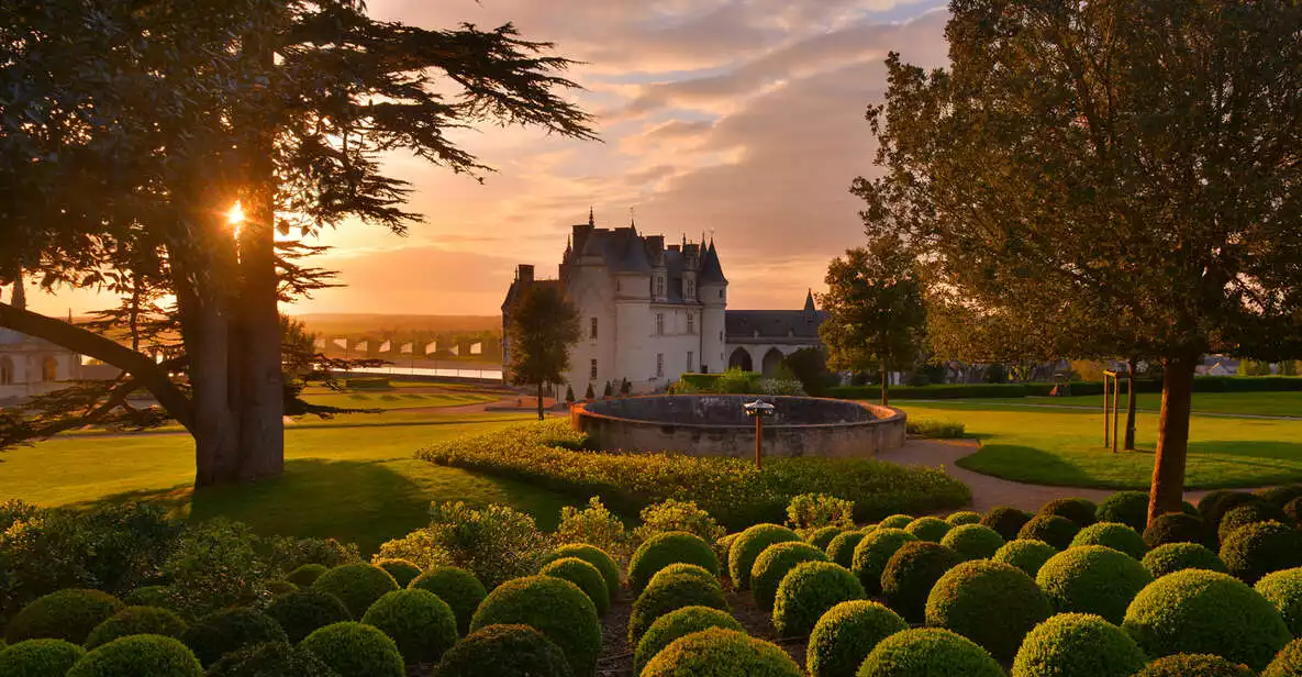 Exclusive Wine Day Trip Loire Valley from Paris | GetYourGuide