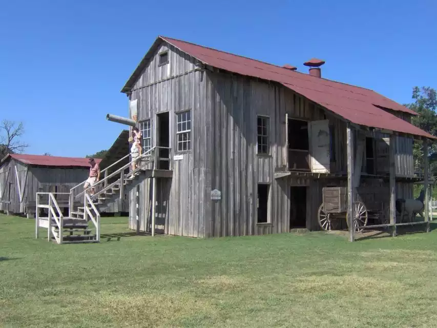 Frogmore Plantation: Historical Cotton and Plantation Tour | GetYourGuide