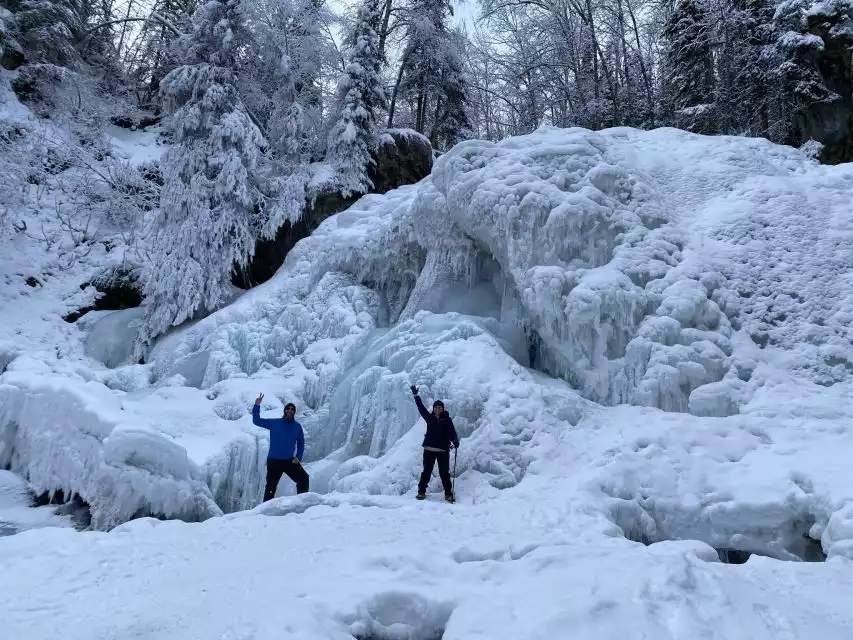 From Anchorage: Chugach State Park Winter Walking Tour | GetYourGuide