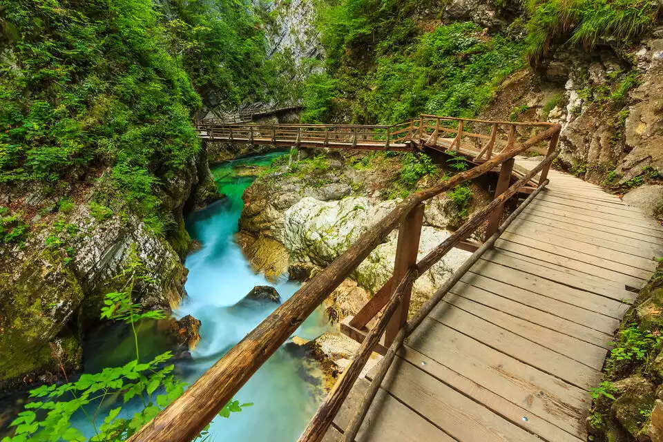 From Bled: Self-Guided E-Bike Tour of Vintgar Gorge | GetYourGuide