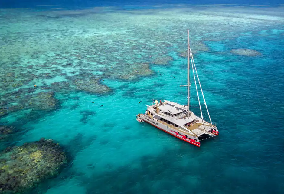 From Cairns: Great Barrier Reef Cruise by Premium Catamaran | GetYourGuide