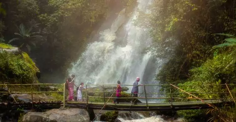 From Chiang Mai: Doi Inthanon National Park Hiking Tour | GetYourGuide