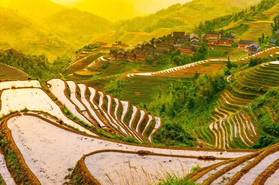 From Guilin: Longji Terraces Group Day Tour with Lunch | GetYourGuide