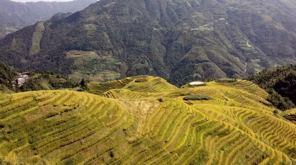 From Guilin: Longsheng Dragon's Backbone Rice Terraces | GetYourGuide