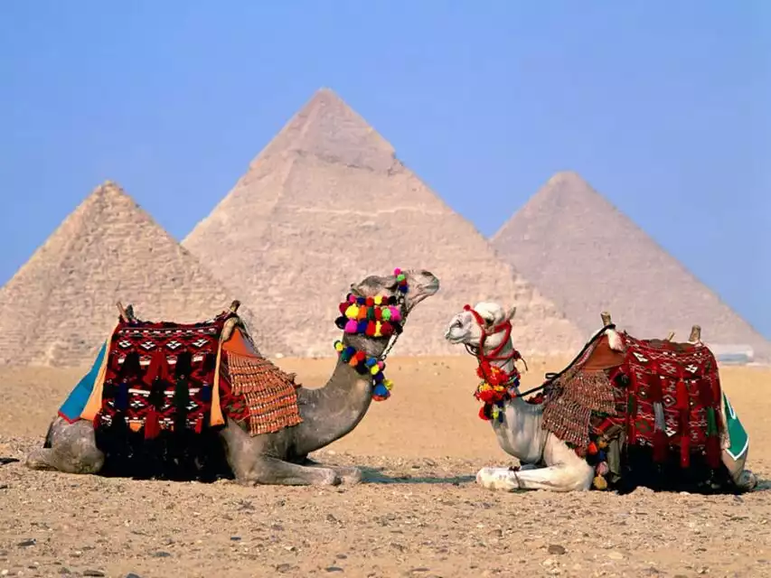From Hurghada: Cairo and Giza Full-Day Highlights Tour | GetYourGuide