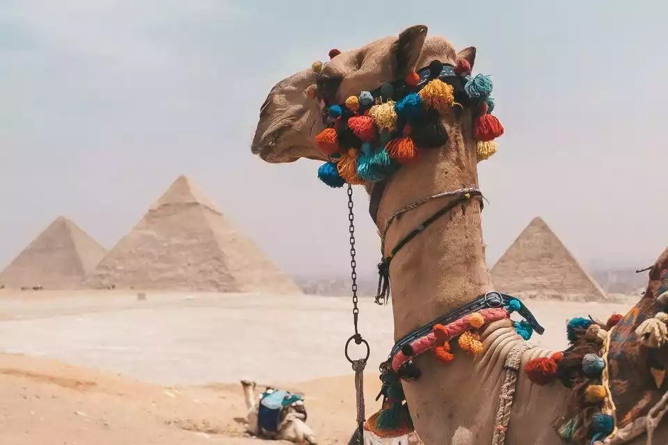 From Hurghada: Full-Day Trip to Cairo and Giza with Lunch | GetYourGuide