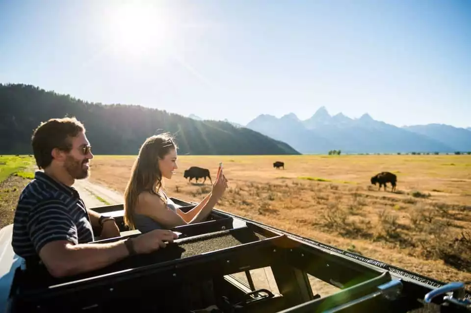 From Jackson: 4-Hour Eco Safari in Grand Teton National Park | GetYourGuide