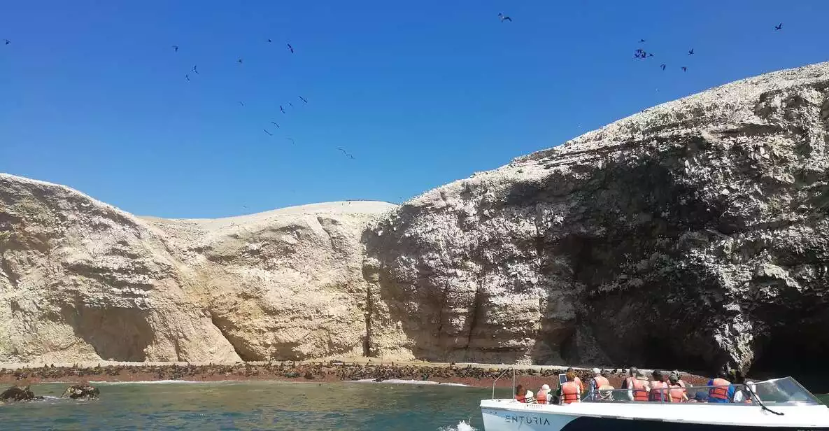 From Lima: Ballestas Islands & Nazca Lines with Meals | GetYourGuide