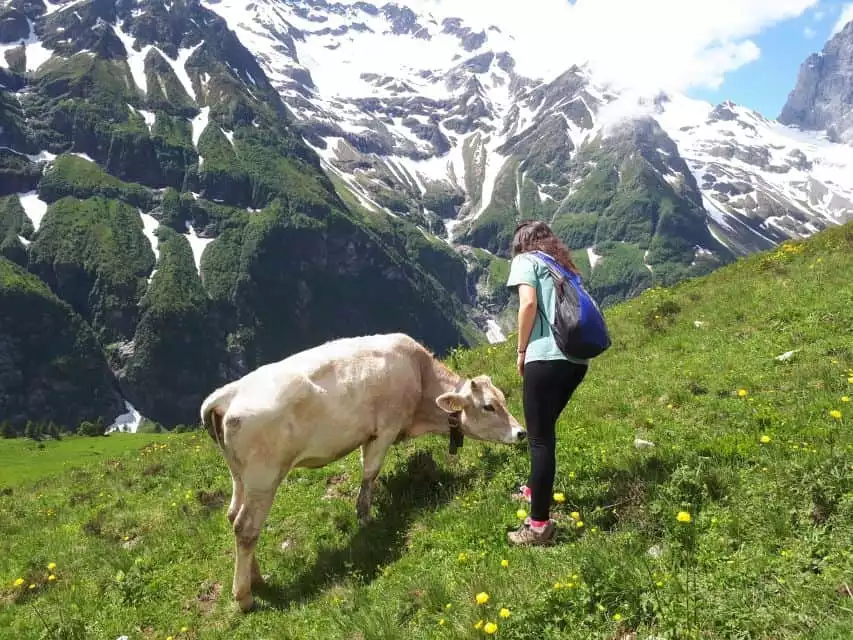 From Lucerne: The Heart of Swiss Alps Private Guided Hike | GetYourGuide