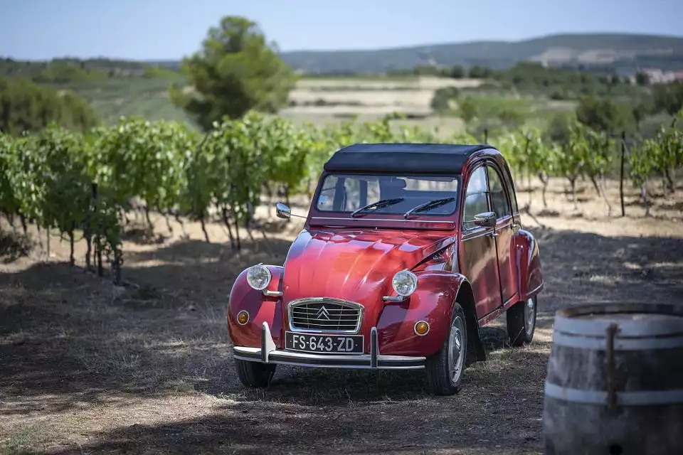 From Montpellier: Wine and Olive Oil Morning Tour | GetYourGuide