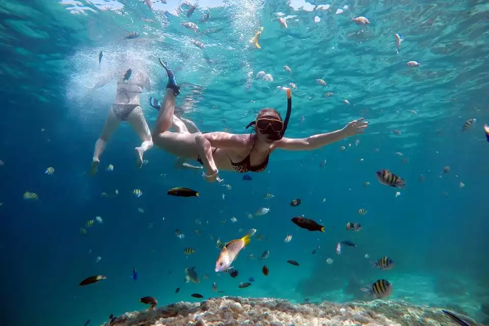 From Phuket: Phi Phi and Maya Bay Snorkeling by Speedboat | GetYourGuide