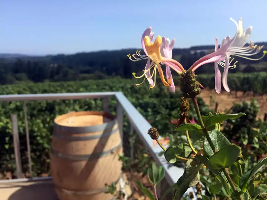 From Portland: Willamette Valley Character Wineries | GetYourGuide