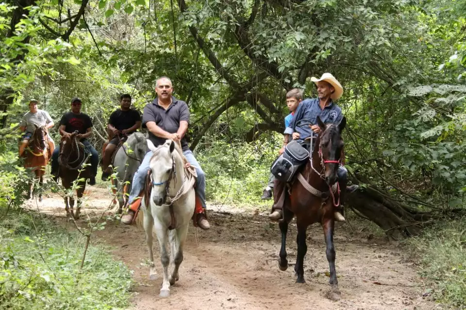 From Puerta Vallarta: Jungle Horseback Riding Tour | GetYourGuide
