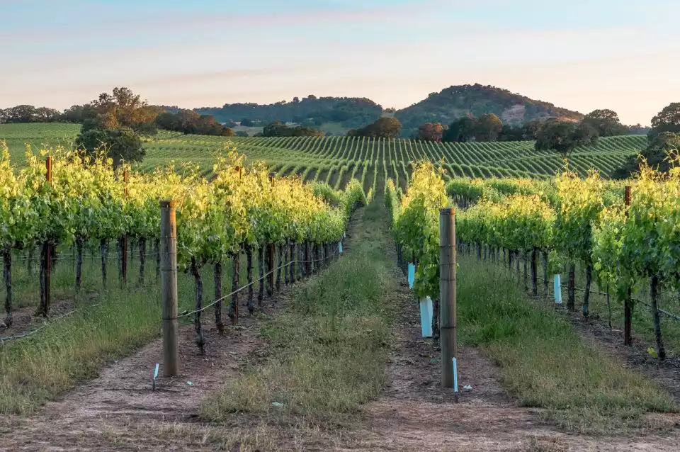 From San Francisco: Napa & Sonoma Valley Full-Day Wine Trip | GetYourGuide
