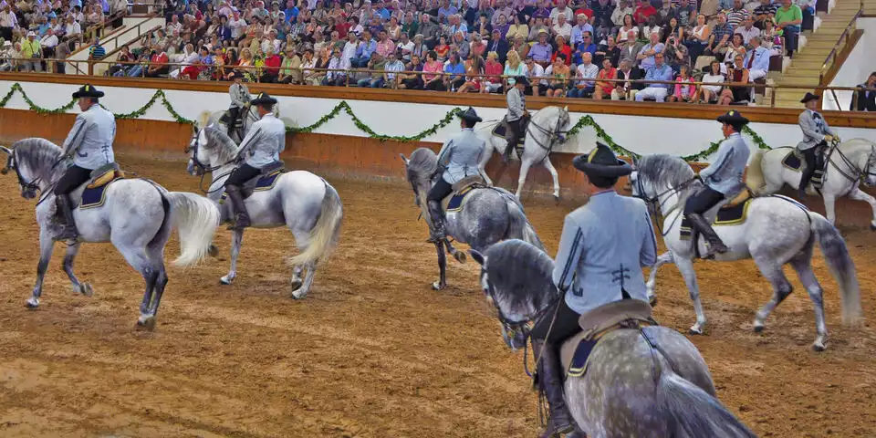 From Seville: Jerez, Cádiz and Andalusian Horses | GetYourGuide