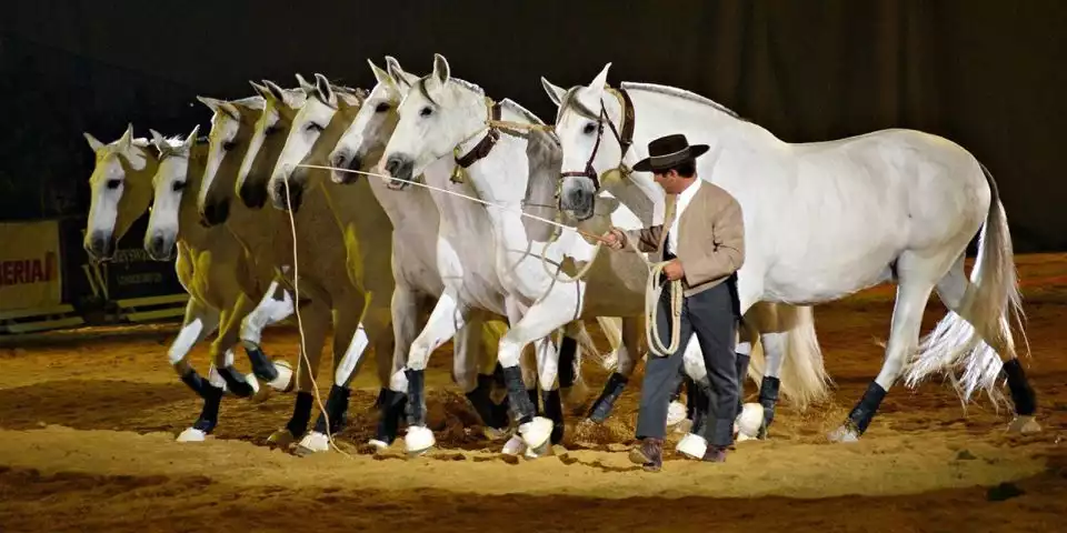 From Seville: Jerez Tour with Horse Show & Sherry Tasting | GetYourGuide