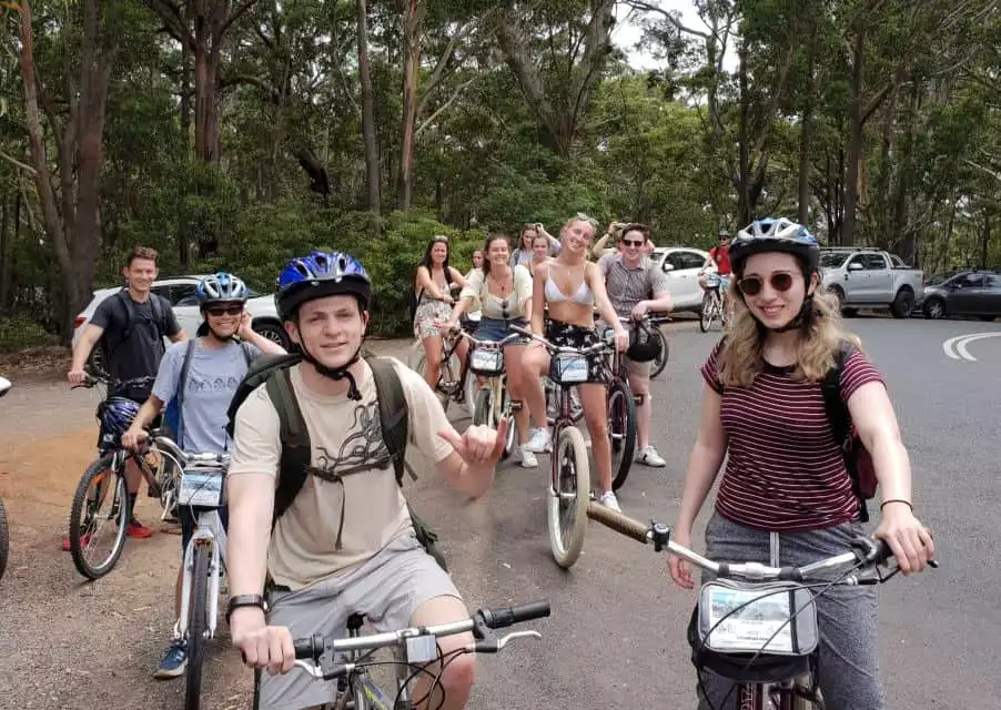 From Sydney: Jervis Bay Day Trip with Cycling | GetYourGuide