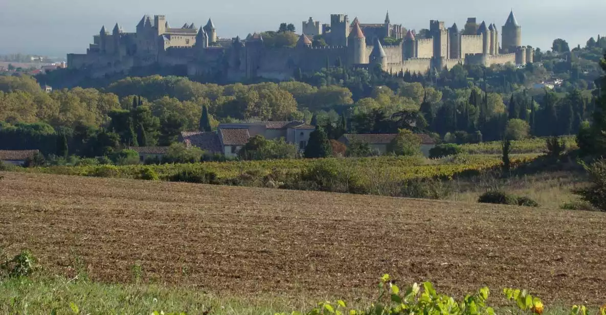 From Toulouse: Private Carcassonne and Albi Sightseeing Tour | GetYourGuide