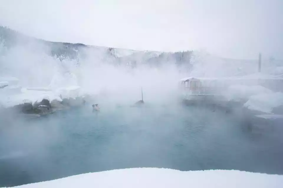 Full Day Ice Museum and Chena Hot Springs Tour | GetYourGuide