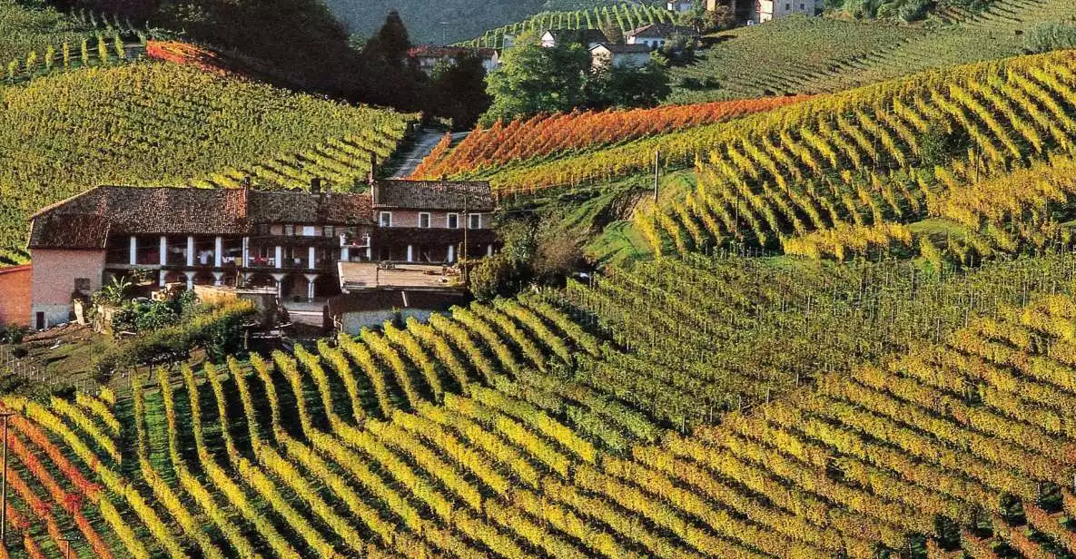 Full-Day Langhe Region Tour with Wine Tasting | GetYourGuide