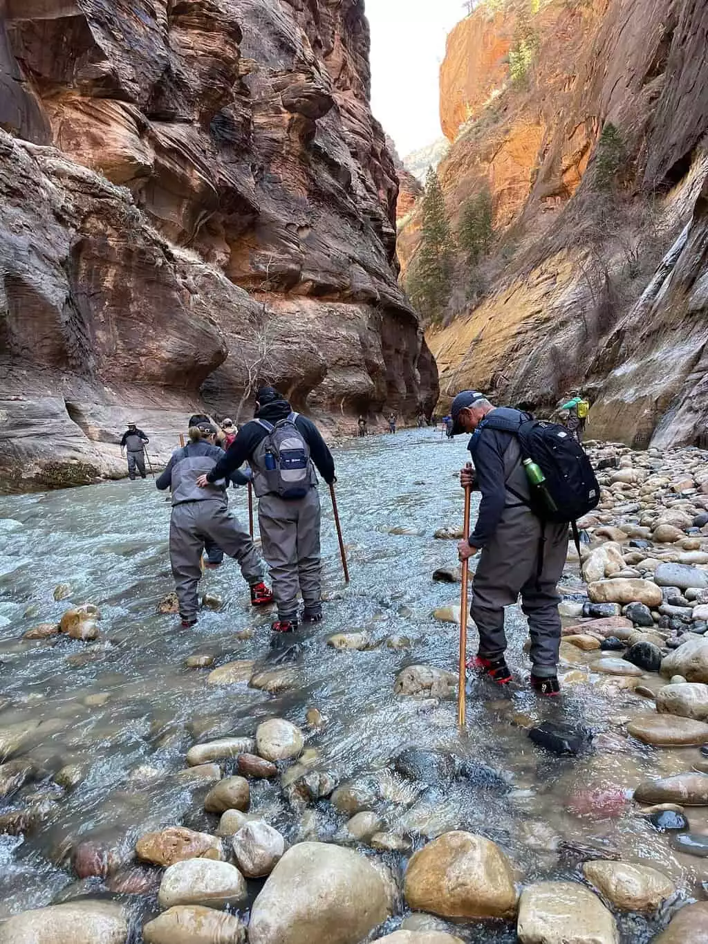 Full-Day Private Tour & Hike in Zion National Park
