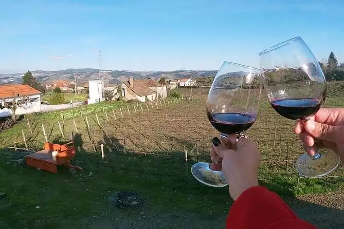 Douro Valley Tour: Wine Tasting, Lunch & River Cruise 2022 - Porto