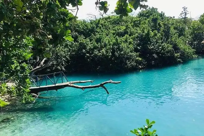 Port Vila Full Day Tour - Experience the Real Vanuatu