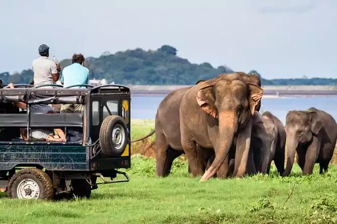 Double Safari Day Trip (Yala & Udawalawe) - Private & All Inclusive