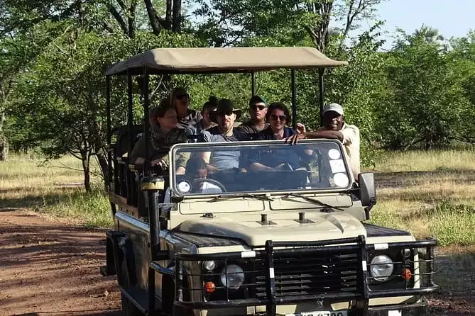 Game Drive & Rhino Safari Experience