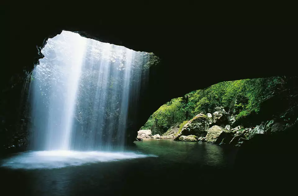 Gold Coast: Natural Bridge & Springbrook Waterfalls Tour | GetYourGuide