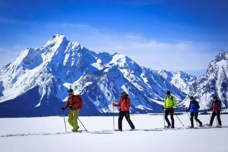 Grand Teton National Park: 4-Hour Easy Snowshoeing Tour | GetYourGuide