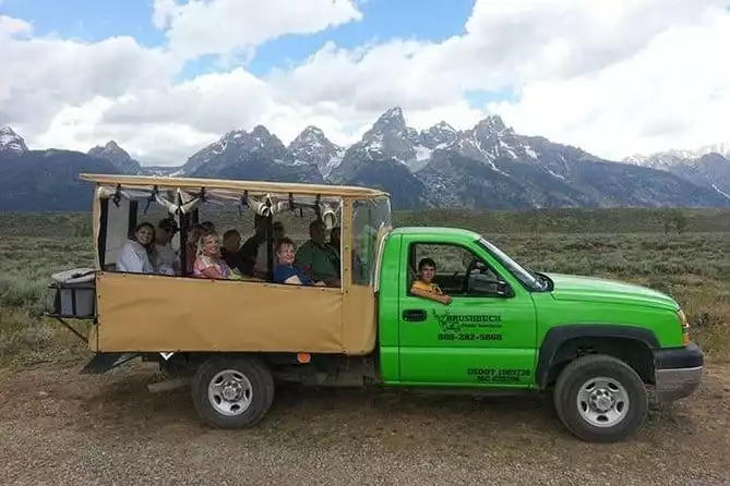 Grand Teton Wildlife Safari in a Enclosed or Open-Air Vehicle (season dependent)
