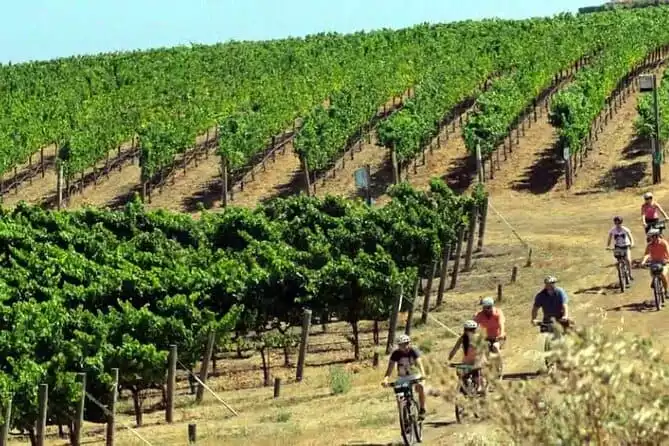 Guided E-Bike Tour of Temecula Wine Country Visit 3 Wineries with Lunch & Snacks