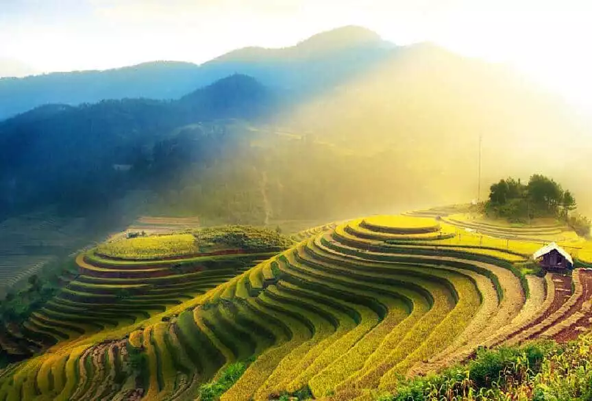 Guilin Private Tour of Dragon's Backbone Rice Terraces | GetYourGuide