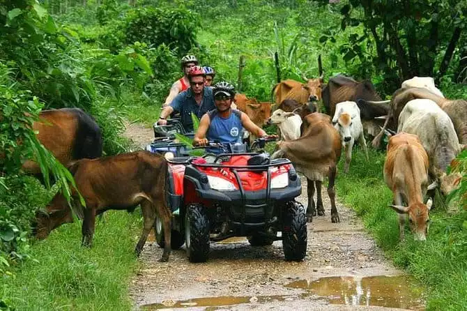 Half-Day Adventure: 4x4 ATV, Water Cave and Dominican Culture At Punta Cana