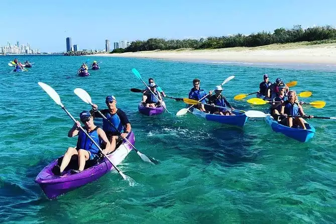 Half Day Dolphin Kayaking and Snorkeling Tour
